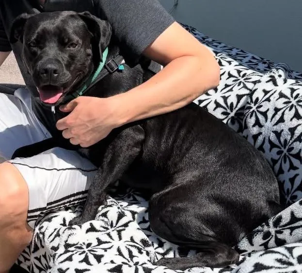 Looking For My Happily thumbnail 2