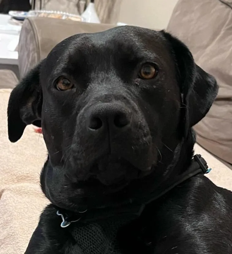 Looking For My Happily thumbnail 3