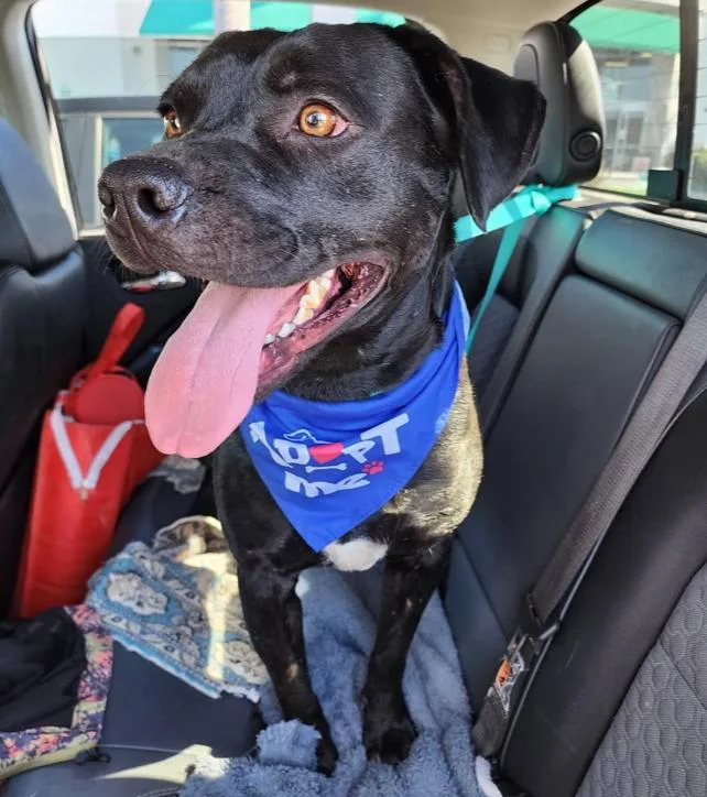 Looking For My Happily thumbnail 4