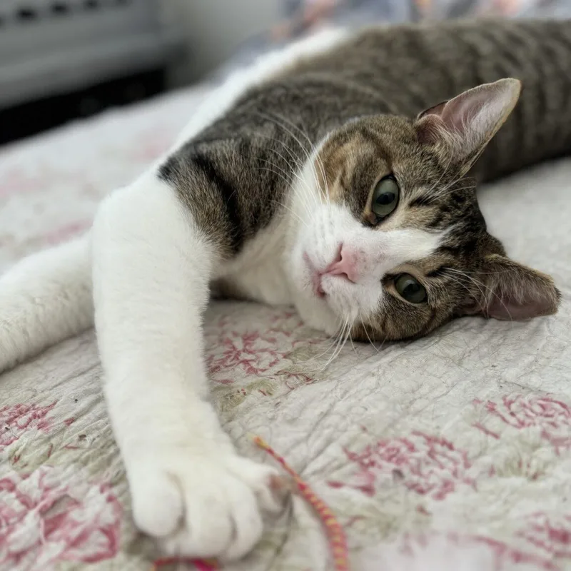 Herman & Gertrude thumbnail 2