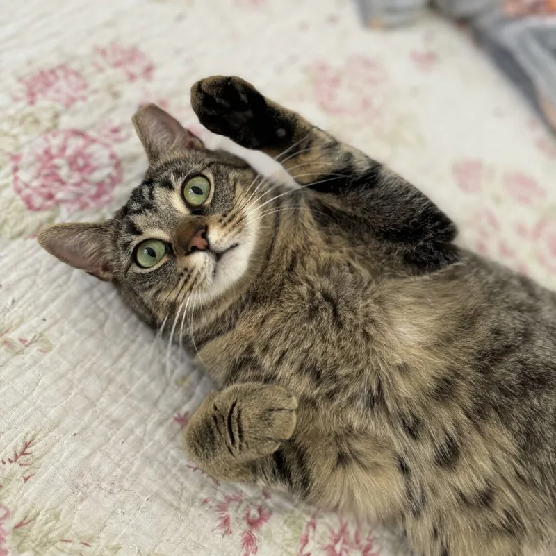 Herman & Gertrude thumbnail 5