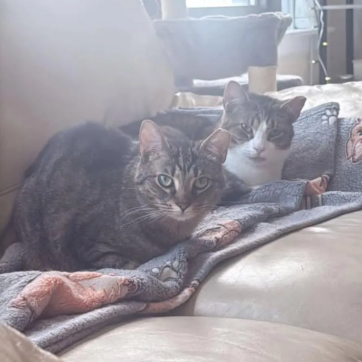 Herman & Gertrude thumbnail 6