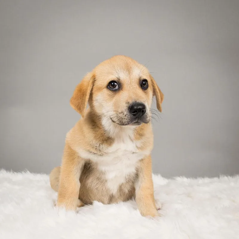 Etta Place thumbnail 2