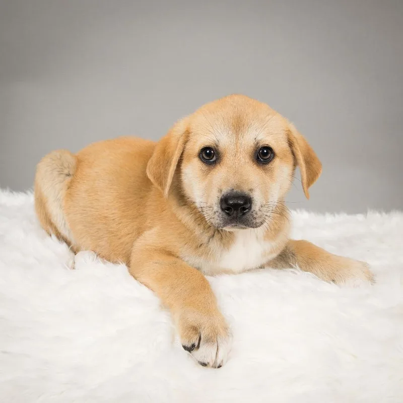 Etta Place thumbnail 3