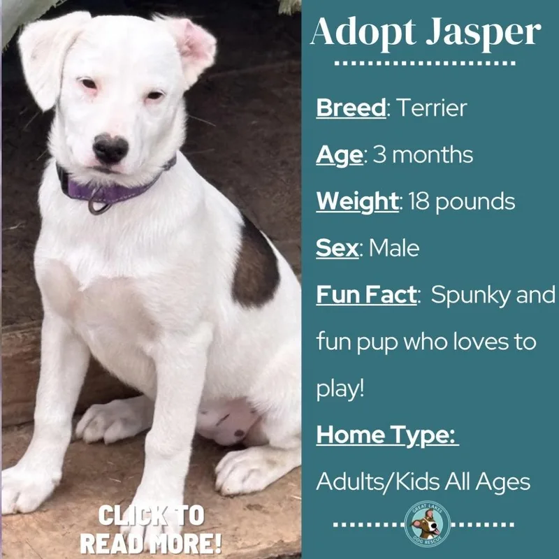 Jasper thumbnail 3