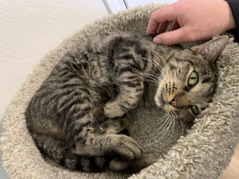 Poppy Lloyd thumbnail 2