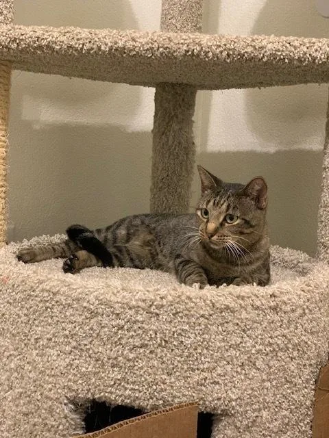 Poppy Lloyd thumbnail 3