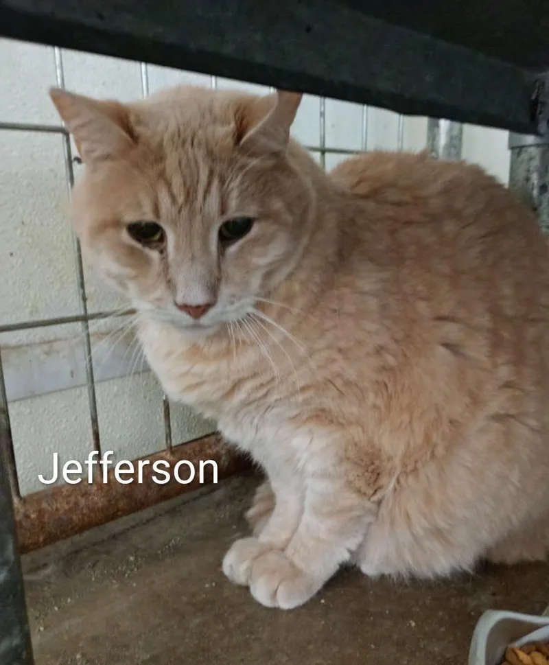Jefferson