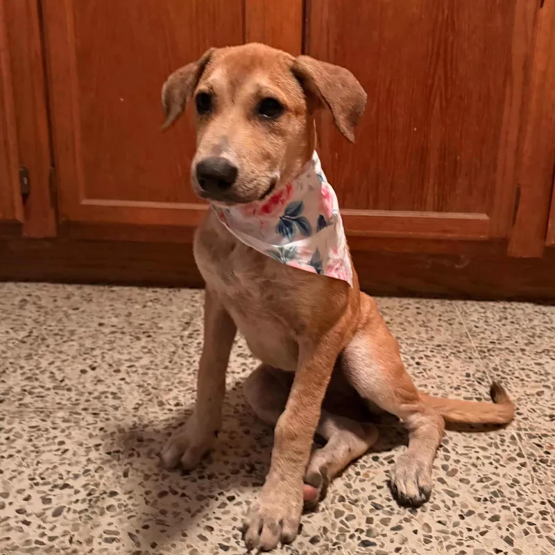 Nala  So Smoochalable thumbnail 2