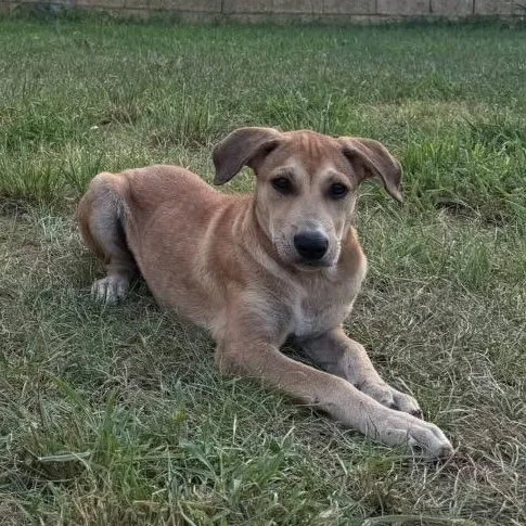 Nala  So Smoochalable thumbnail 4
