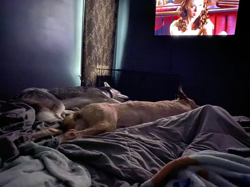 Perdita < thumbnail 4