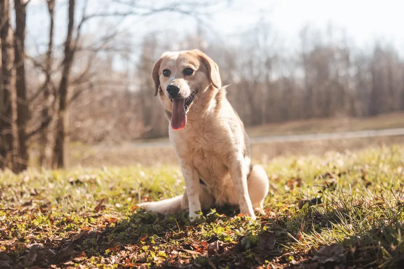 Aryatransport thumbnail 3