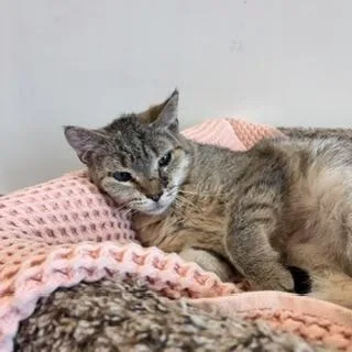 Maisy thumbnail 2