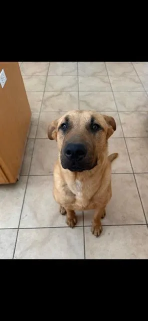 Sunshine thumbnail 2