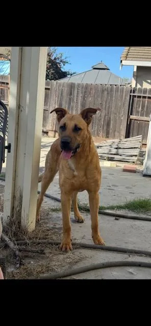 Sunshine thumbnail 3