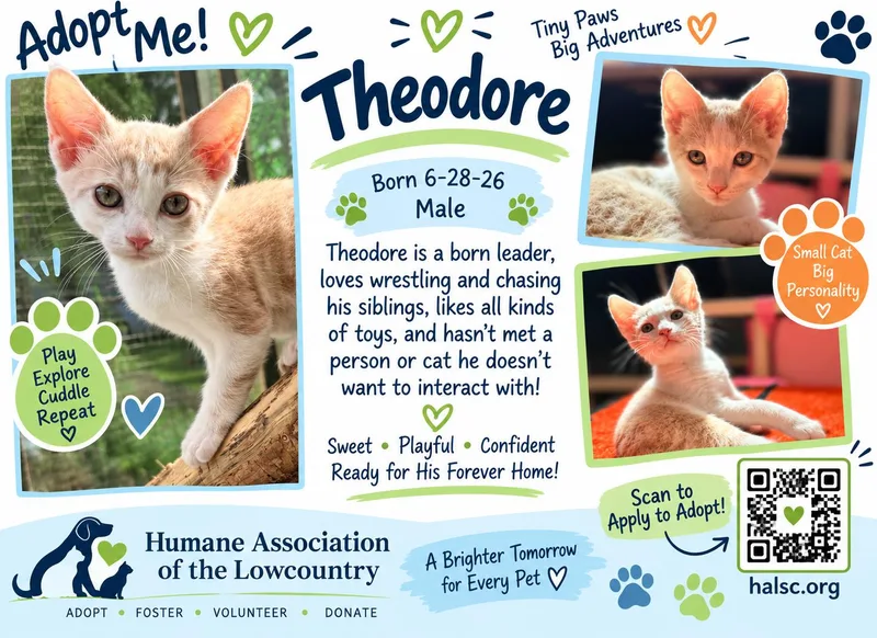 Theodore thumbnail 3