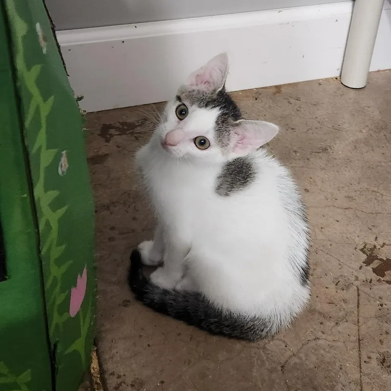 Stephanie thumbnail 2