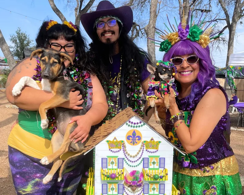 Buttercup thumbnail 4