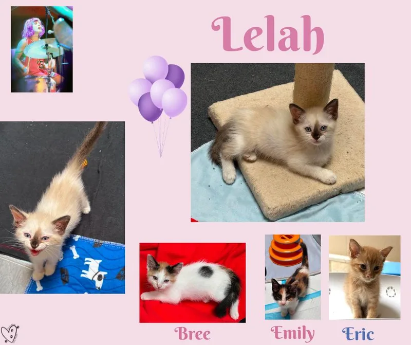 Lelah thumbnail 3