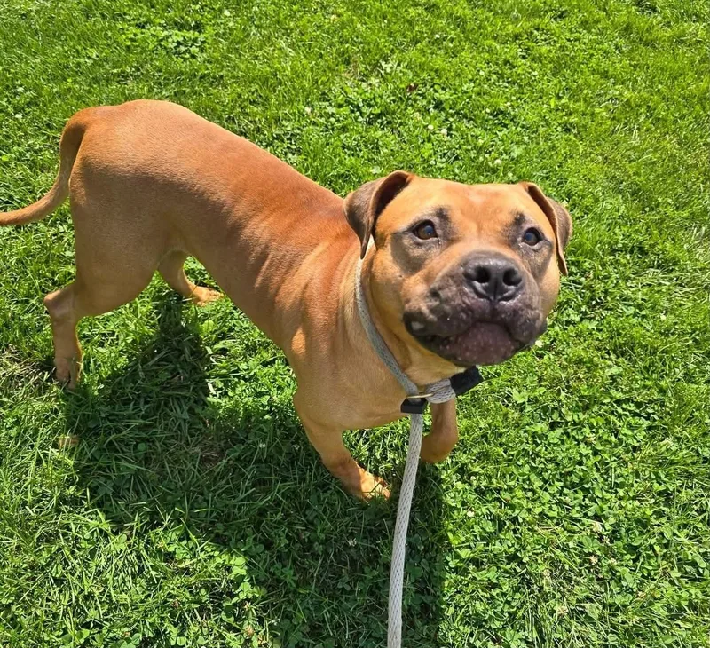 Duke