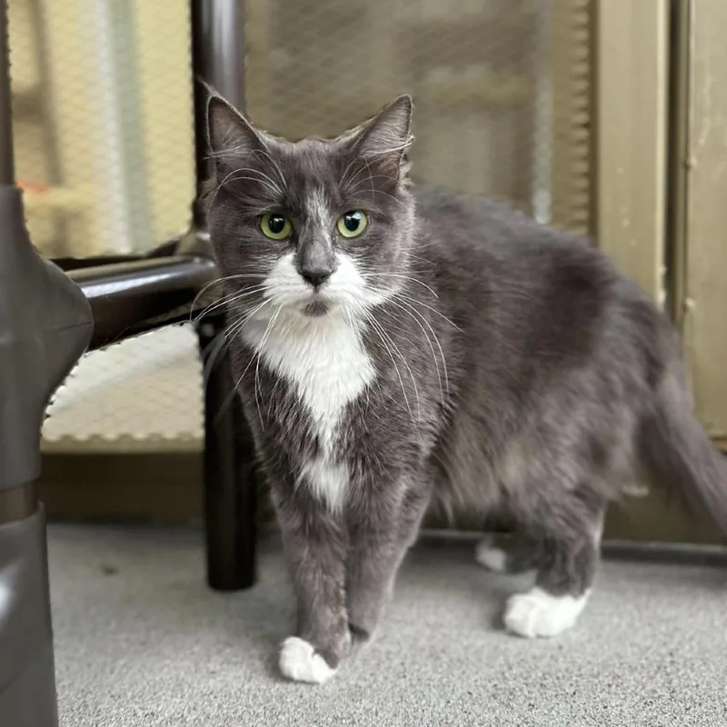 Caramel Delite thumbnail 2