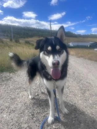 Milo
