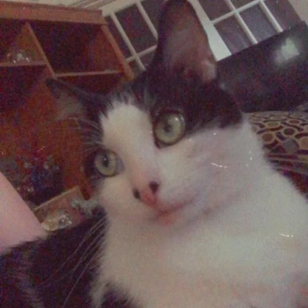 Princess thumbnail 2