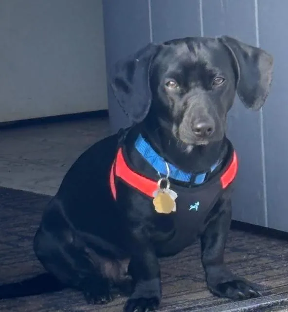 Oscar In Ri thumbnail 2