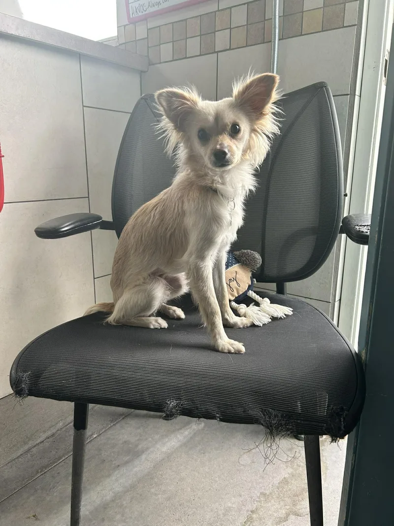 Michigan thumbnail 2