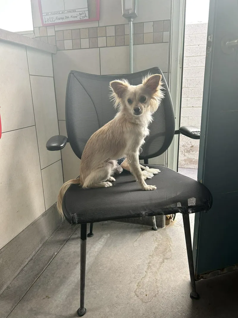 Michigan thumbnail 3