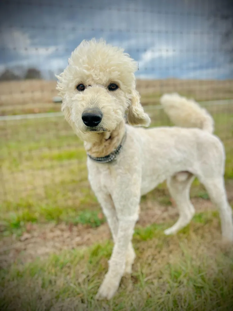 Otis Jan thumbnail 2