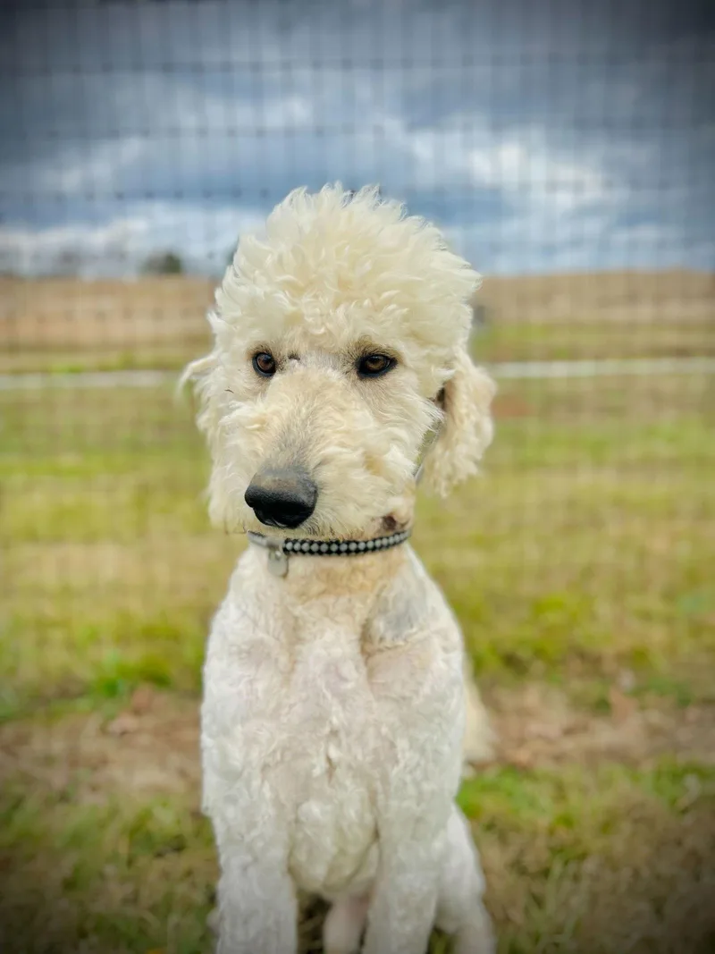 Otis Jan thumbnail 3