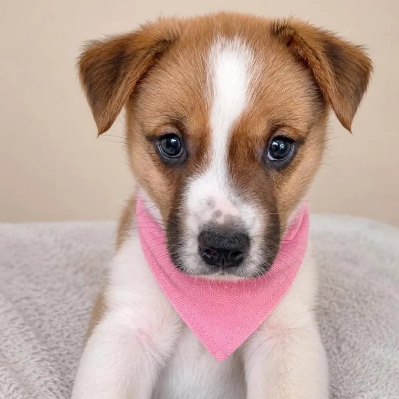 Lucy Loo thumbnail 3