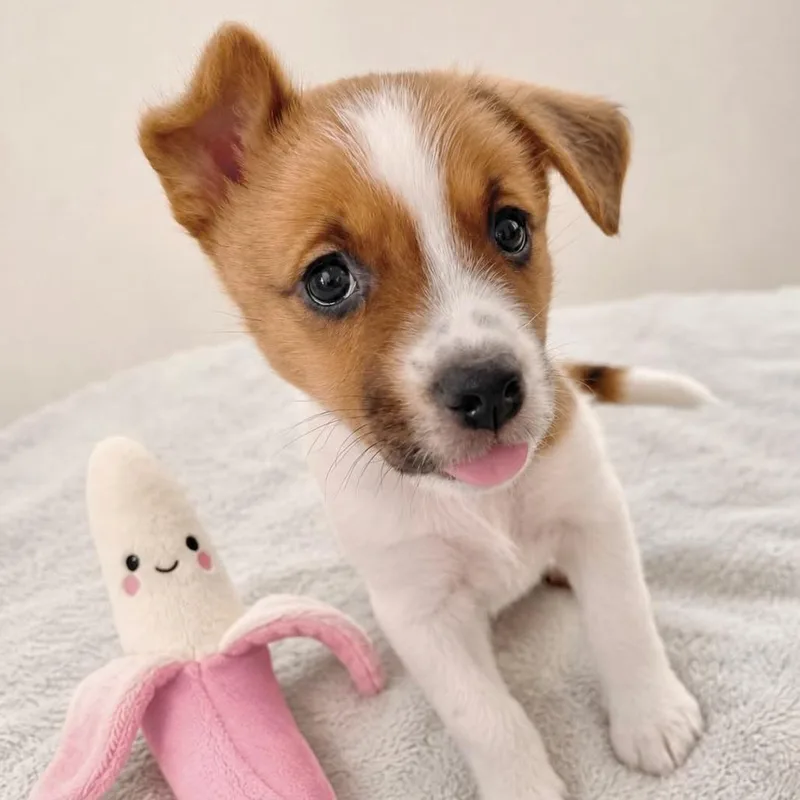 Lucy Loo thumbnail 4