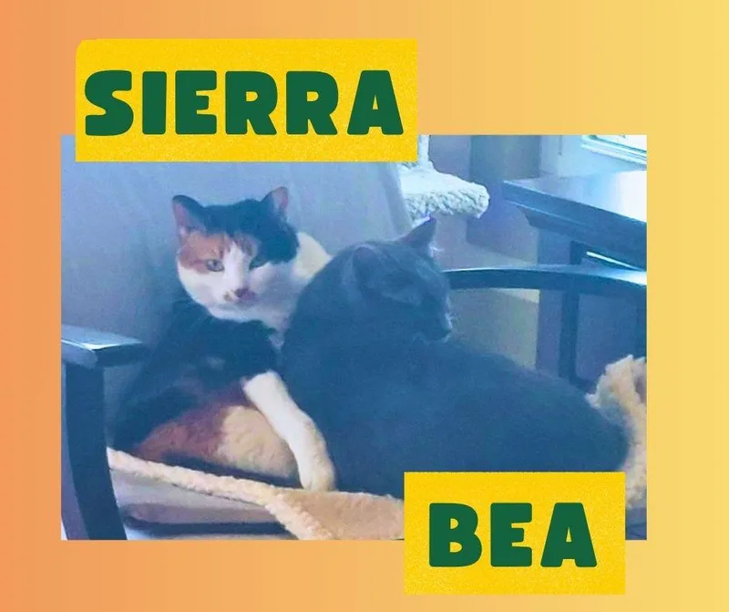 Bea & Sierra  thumbnail 4