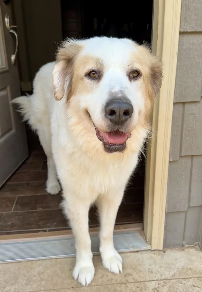 Argus 💚