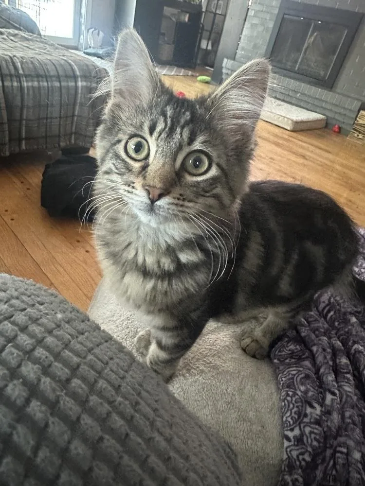 Flynn Ryder thumbnail 2