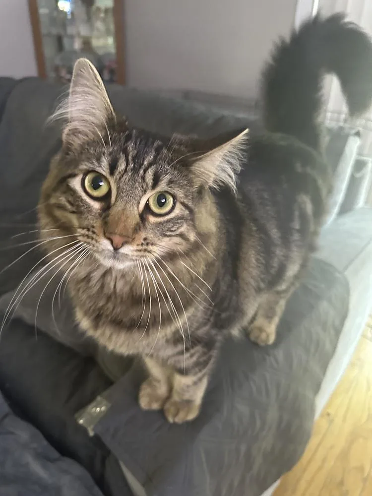 Flynn Ryder thumbnail 3