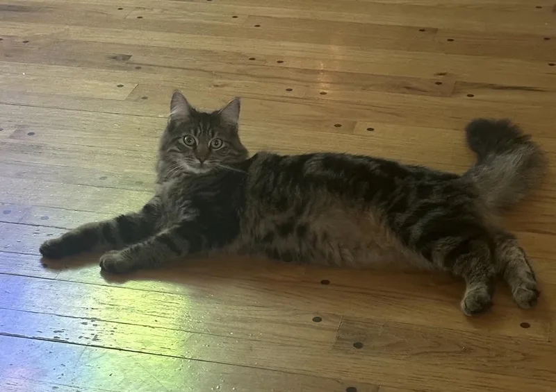 Flynn Ryder thumbnail 4