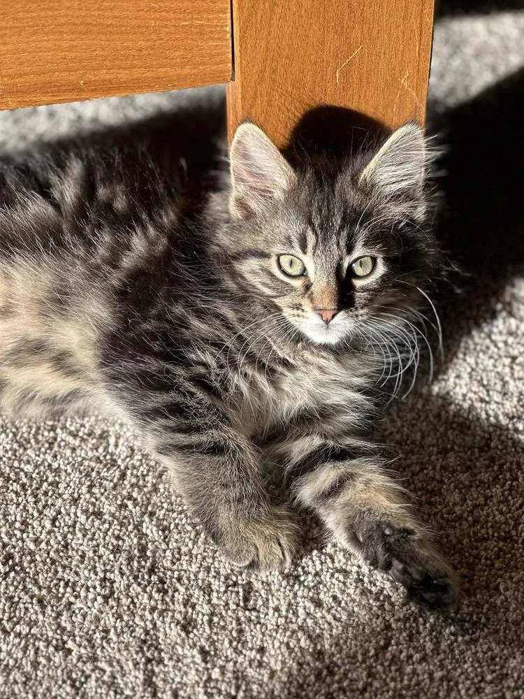 Flynn Ryder thumbnail 5