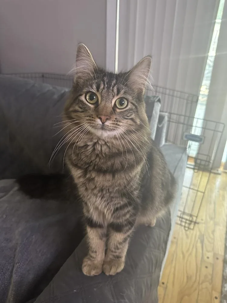 Flynn Ryder thumbnail 6