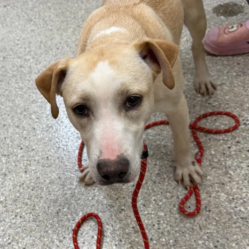 Enchanted thumbnail 2