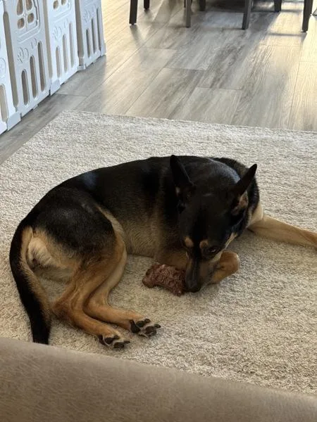 Bella