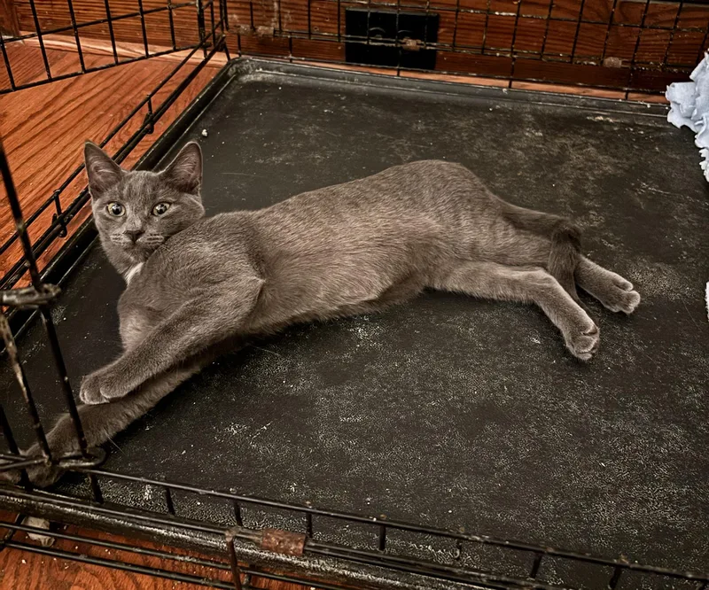 Rusty Elliott thumbnail 2