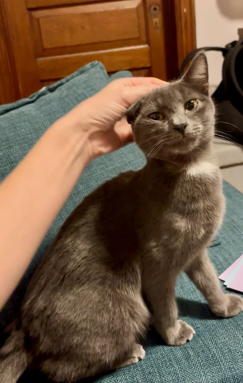 Rusty Elliott thumbnail 3