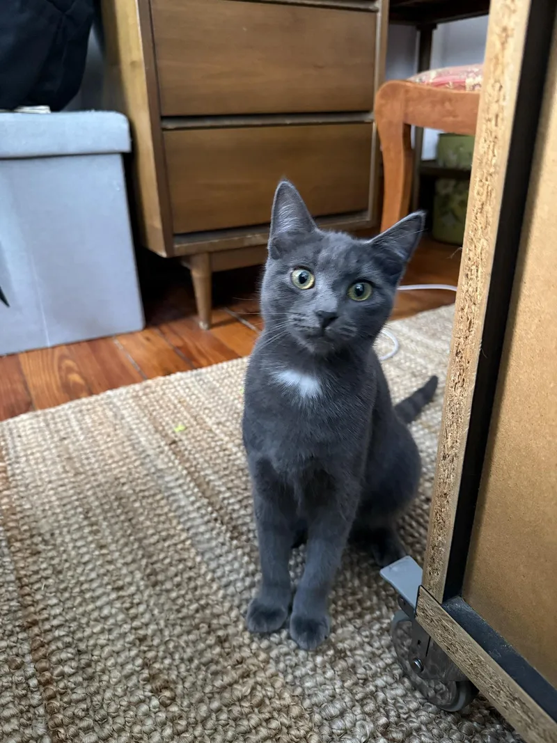 Rusty Elliott thumbnail 4