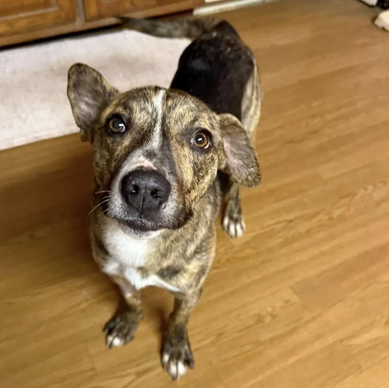 Waldo  Witherspoon thumbnail 2