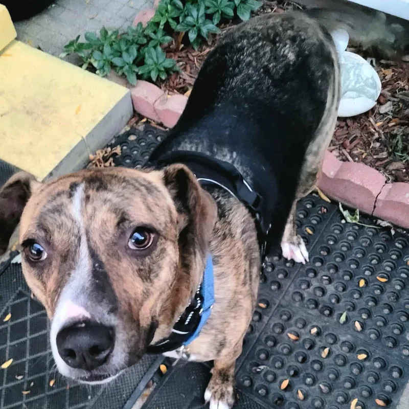 Waldo  Witherspoon thumbnail 3