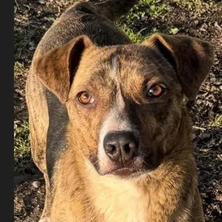 Waldo  Witherspoon thumbnail 4