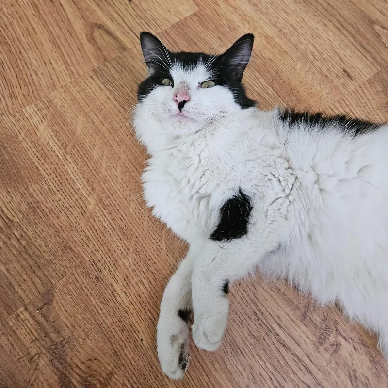 Winston Meet Me